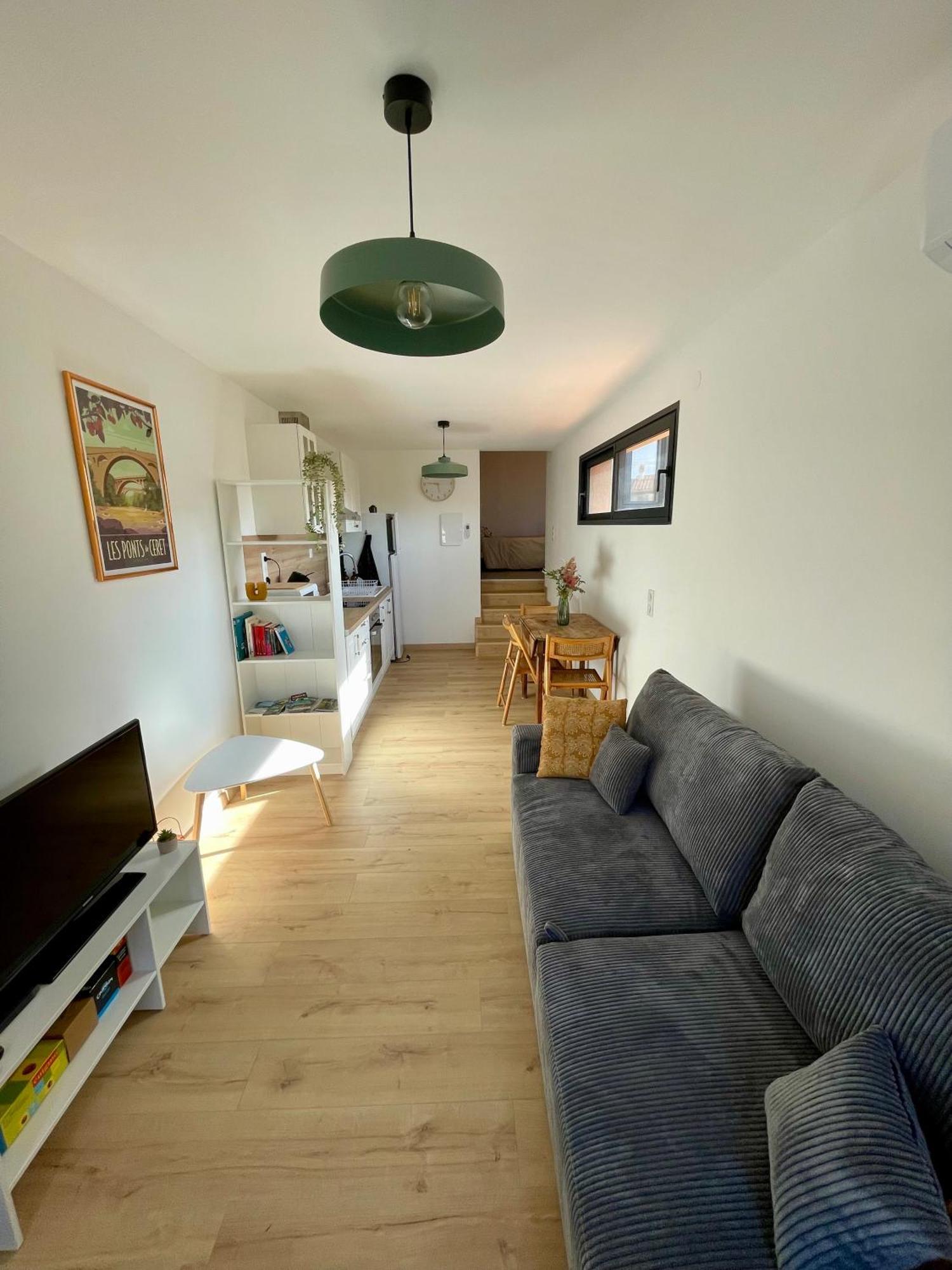 Bel Appartement A Ceret Exterior photo