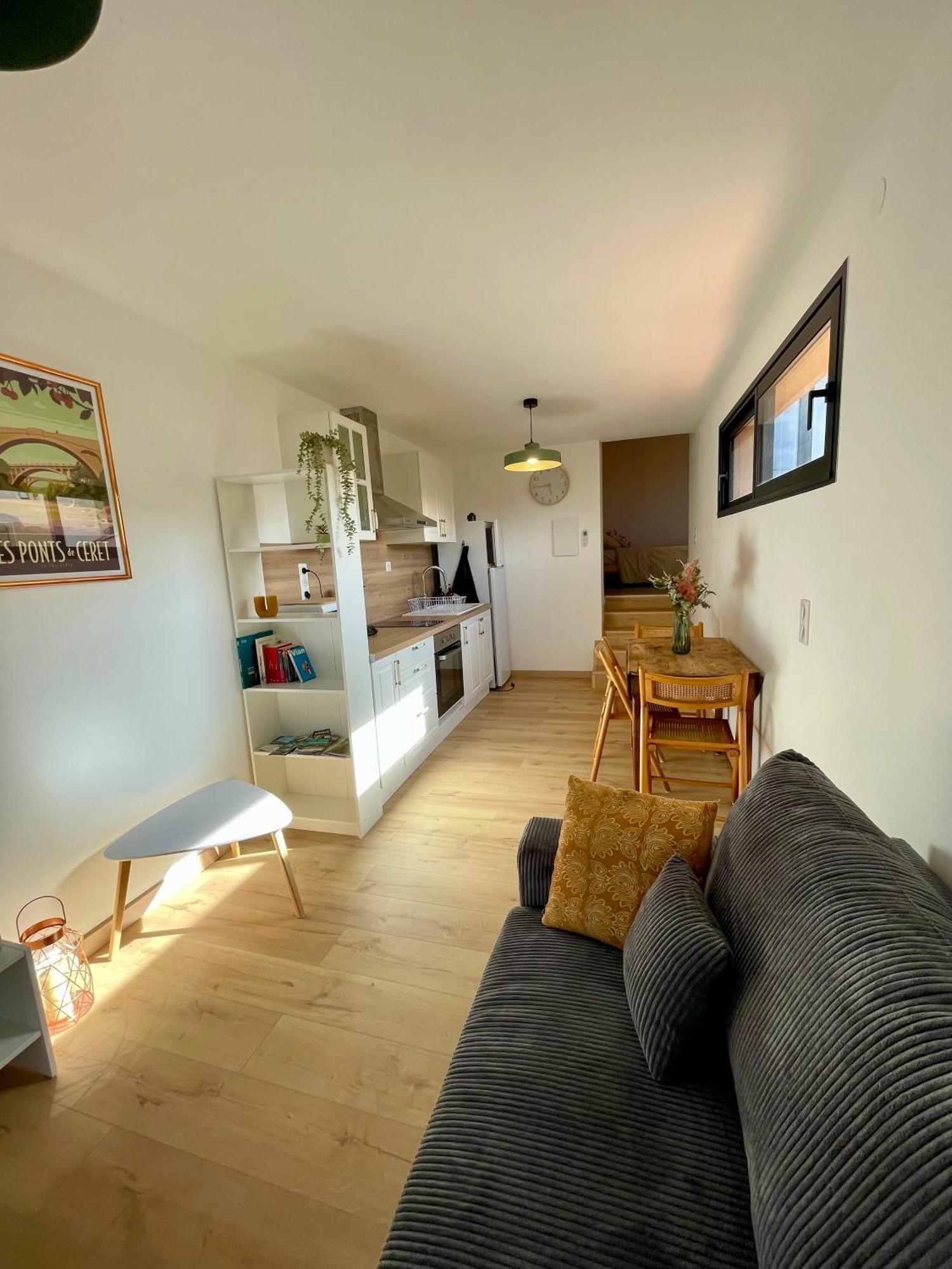 Bel Appartement A Ceret Exterior photo